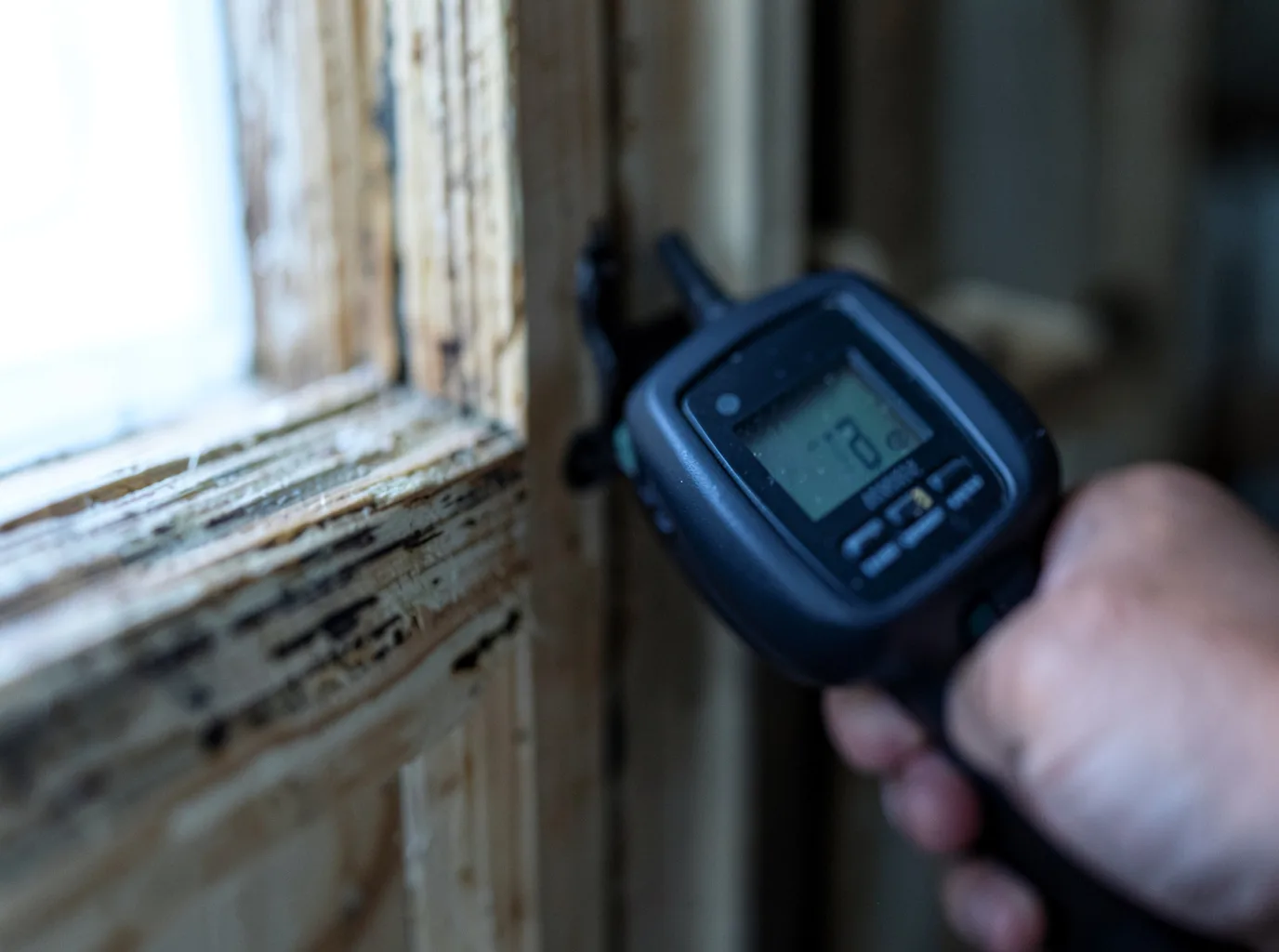 Moisture Inspection And Documentation in Alsea, OR